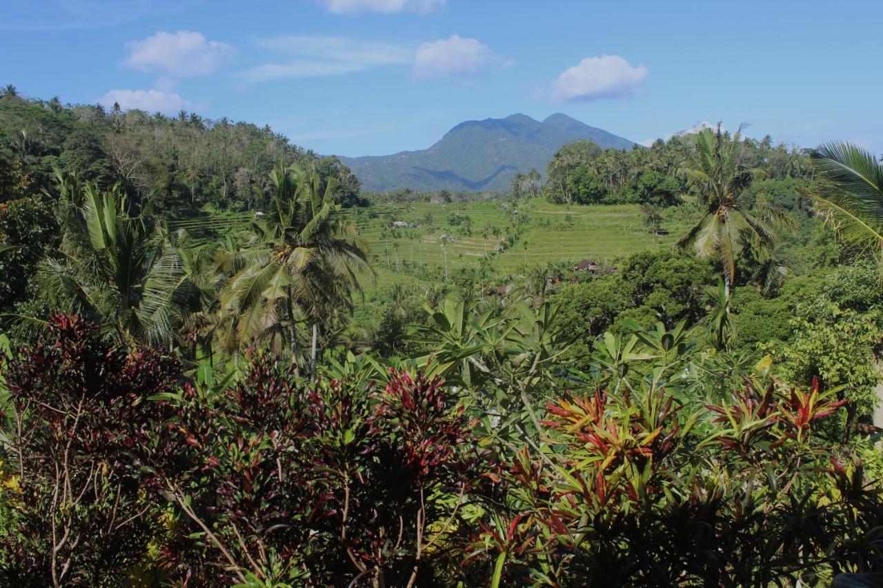 Pondok Lembah Dukuh Homestay Карангасем Экстерьер фото