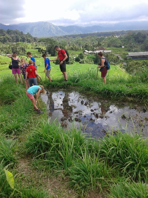 Pondok Lembah Dukuh Homestay Карангасем Экстерьер фото